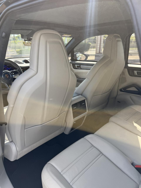 Cayenne E-H Platinum Edition
