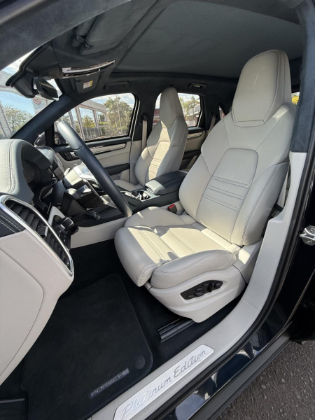Cayenne E-H Platinum Edition