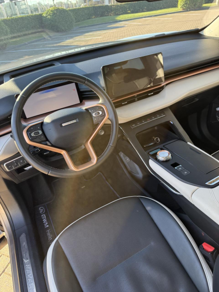 Haval H6 PHEV19